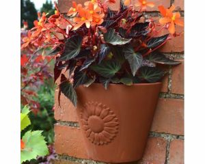 terracotta wall planter