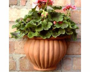 terracotta wall pot