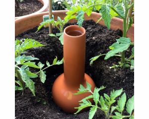 olla watering system